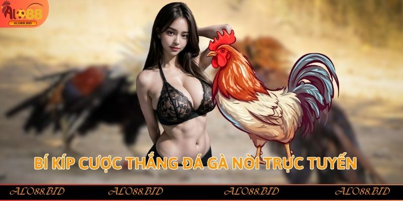 Đá Gà Nòi Alo88 – Trải Nghiệm Đỉnh Cao Cho Tín Đồ Sảnh Gà Đá Gà Nòi Alo88 – Trải Nghiệm Đỉnh Cao Cho Tín Đồ Sảnh Gà