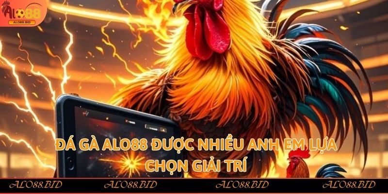 Đá Gà Alo88 – Trải Nghiệm Đỉnh Cao Của Cá Cược Trực Tuyến