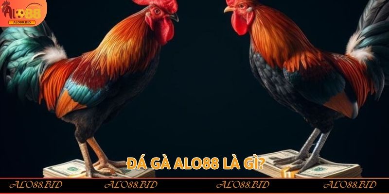 Đá Gà Alo88 – Trải Nghiệm Đỉnh Cao Của Cá Cược Trực Tuyến