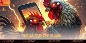 Đá Gà Alo88 – Trải Nghiệm Đỉnh Cao Của Cá Cược Trực Tuyến