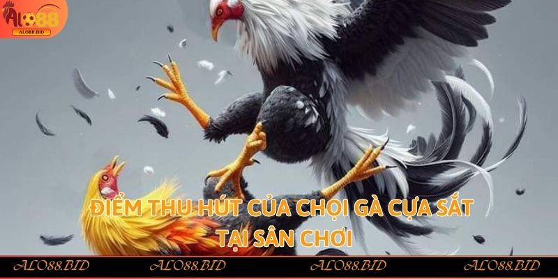 Đá Gà Cựa Sắt Alo88 – Làm Giàu Nhanh Chóng Từ Đam Mê Đá Gà Đá Gà Cựa Sắt Alo88 – Làm Giàu Nhanh Chóng Từ Đam Mê Đá Gà