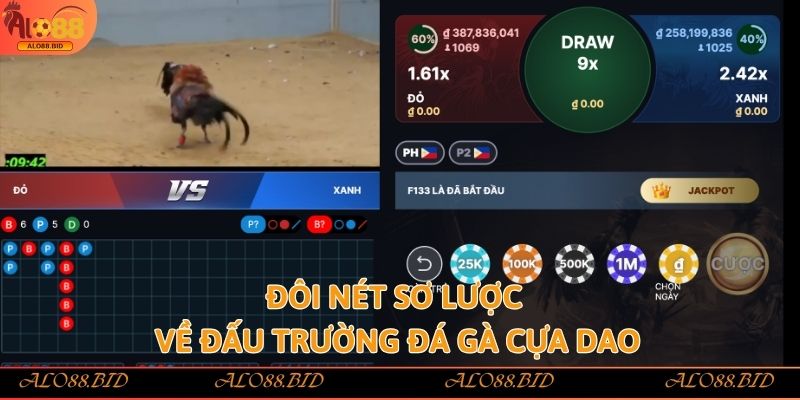 Đá Gà Cựa Dao – Kịch Tính, Mãn Nhãn Từng Nhát Cựa Tại Alo88