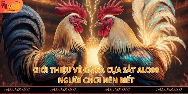 Đá Gà Cựa Sắt Alo88 – Làm Giàu Nhanh Chóng Từ Đam Mê Đá Gà Đá Gà Cựa Sắt Alo88 – Làm Giàu Nhanh Chóng Từ Đam Mê Đá Gà