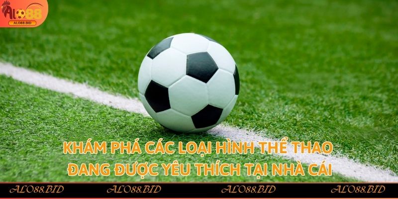 Thể Thao Alo88 - Đỉnh Cao Giải Trí Cho Tín Đồ Cá Cược