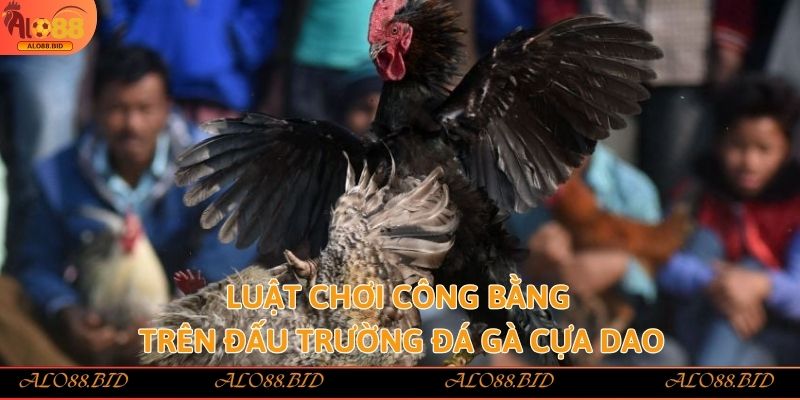 Đá Gà Cựa Dao – Kịch Tính, Mãn Nhãn Từng Nhát Cựa Tại Alo88