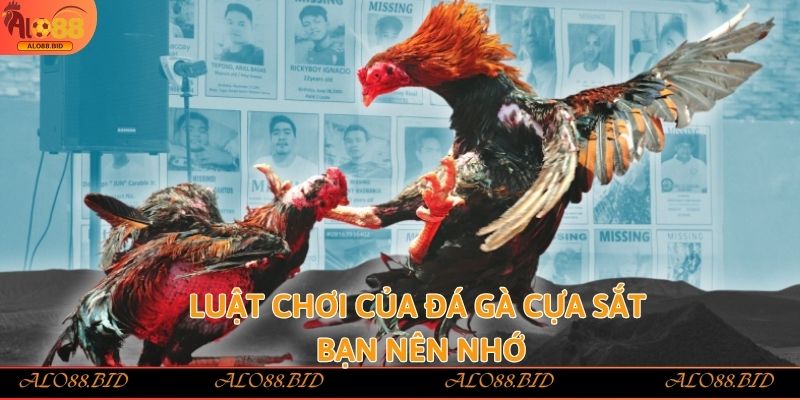 Đá Gà Cựa Sắt Alo88 – Làm Giàu Nhanh Chóng Từ Đam Mê Đá Gà Đá Gà Cựa Sắt Alo88 – Làm Giàu Nhanh Chóng Từ Đam Mê Đá Gà