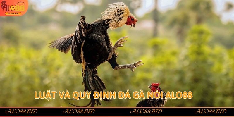 Đá Gà Nòi Alo88 – Trải Nghiệm Đỉnh Cao Cho Tín Đồ Sảnh Gà Đá Gà Nòi Alo88 – Trải Nghiệm Đỉnh Cao Cho Tín Đồ Sảnh Gà