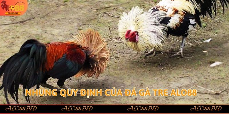 Đá Gà Tre Alo88 – Sảnh Cược Đẳng Cấp Với Tỷ Lệ Thưởng Cao Đá Gà Tre Alo88 – Sảnh Cược Đẳng Cấp Với Tỷ Lệ Thưởng Cao