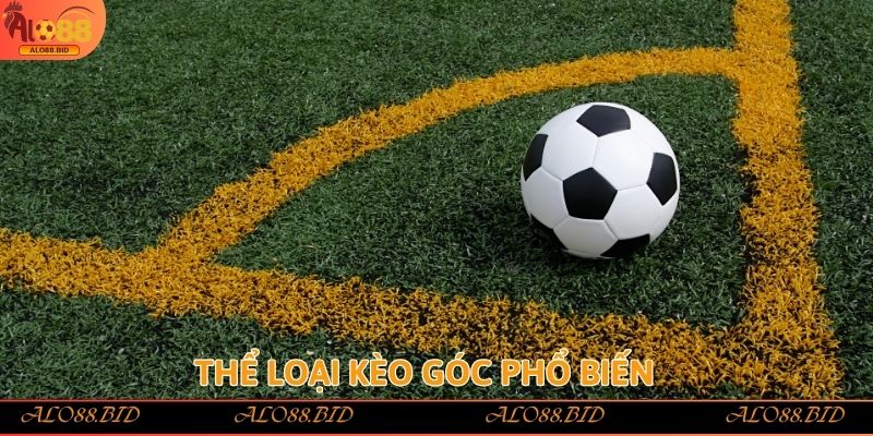 Kèo Phạt Góc – Khái Niệm, Cách Đọc Và Tính Tiền Chính Xác Kèo Phạt Góc – Khái Niệm, Cách Đọc Và Tính Tiền Chính Xác