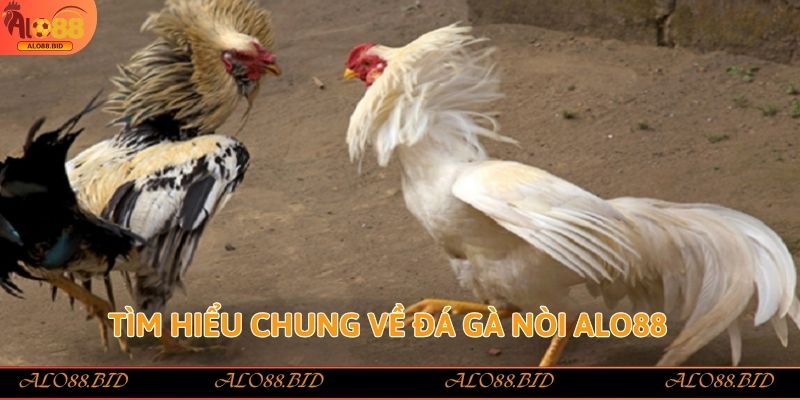 Đá Gà Nòi Alo88 – Trải Nghiệm Đỉnh Cao Cho Tín Đồ Sảnh Gà Đá Gà Nòi Alo88 – Trải Nghiệm Đỉnh Cao Cho Tín Đồ Sảnh Gà