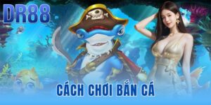Tin Tức DR88 - Thông Báo Hệ Thống Và Link Chính Chủ