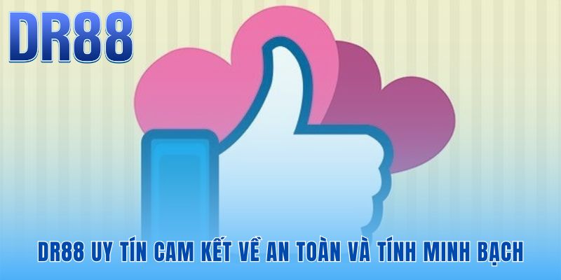 DR88 Có Hợp Pháp Không - Câu Trả Lời Và Bằng Chứng