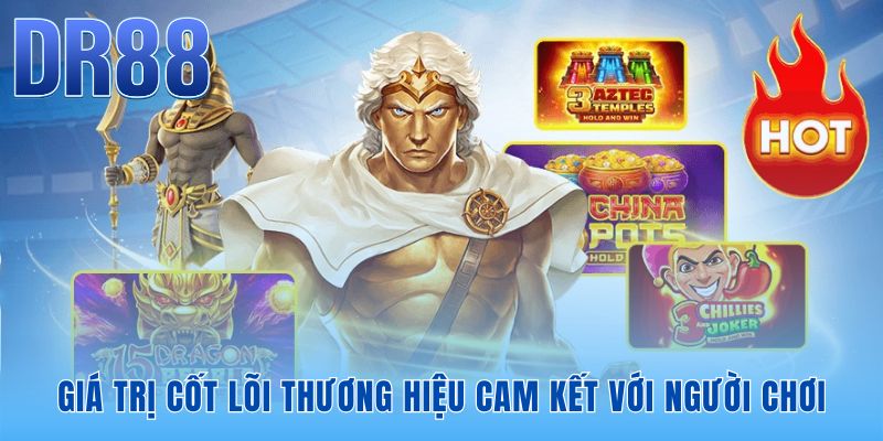 Giới Thiệu DR88 | Hồ Sơ Pháp Lý và Lịch Sử Thương Hiệu