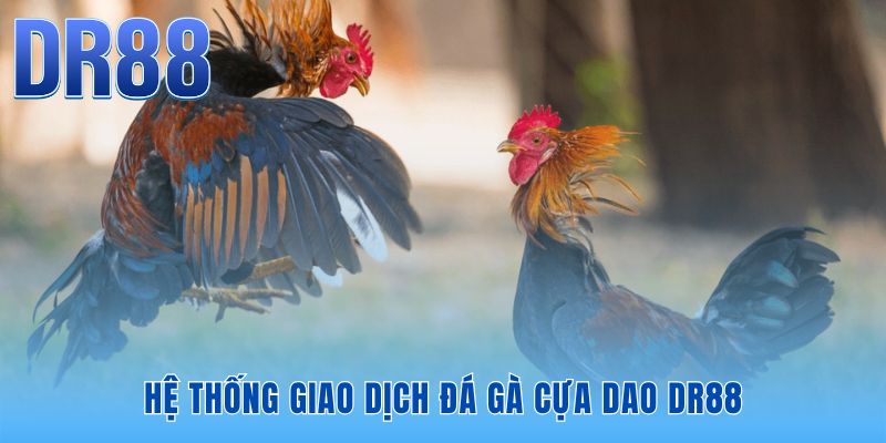 Đá Gà Cựa Dao DR88 - Sảnh Thomo FHD Nạp Rút 60s