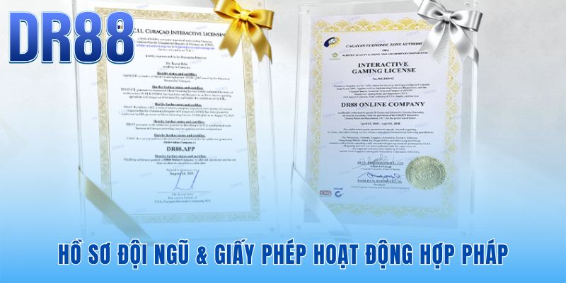 Giới Thiệu DR88 | Hồ Sơ Pháp Lý và Lịch Sử Thương Hiệu