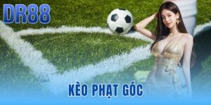 Tin Tức DR88 - Thông Báo Hệ Thống Và Link Chính Chủ