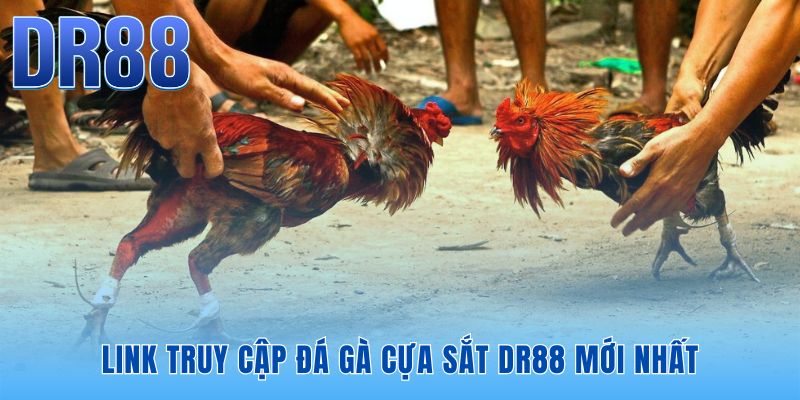 Đá Gà Cựa Sắt DR88 | Xem Live Thomo Full HD Tốc Độ 0s
