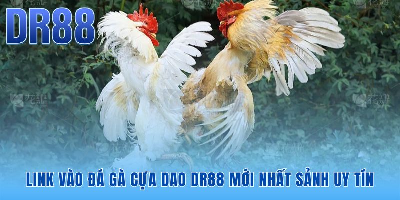 Đá Gà Cựa Dao DR88 - Sảnh Thomo FHD Nạp Rút 60s