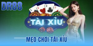 Tin Tức DR88 - Thông Báo Hệ Thống Và Link Chính Chủ